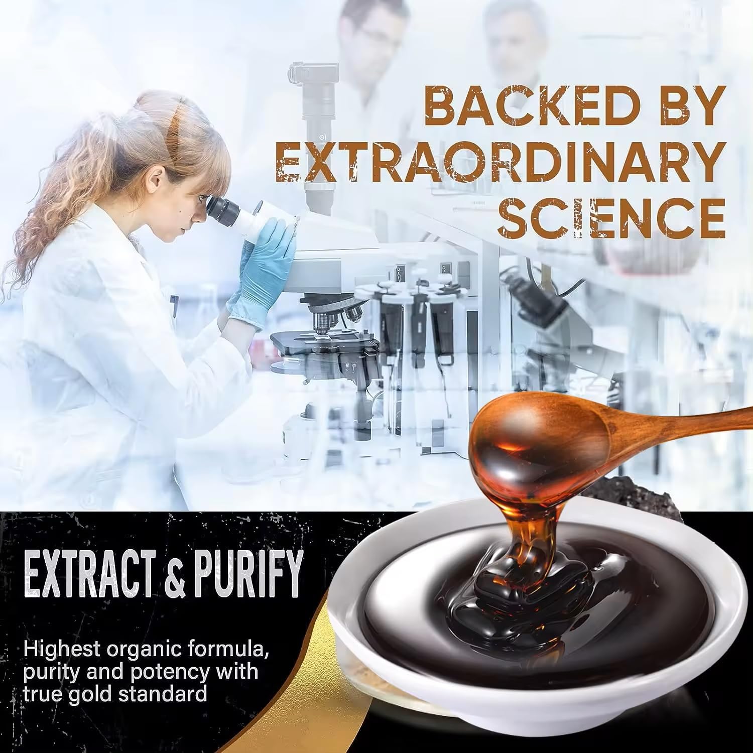 Shilajit Power Supplement